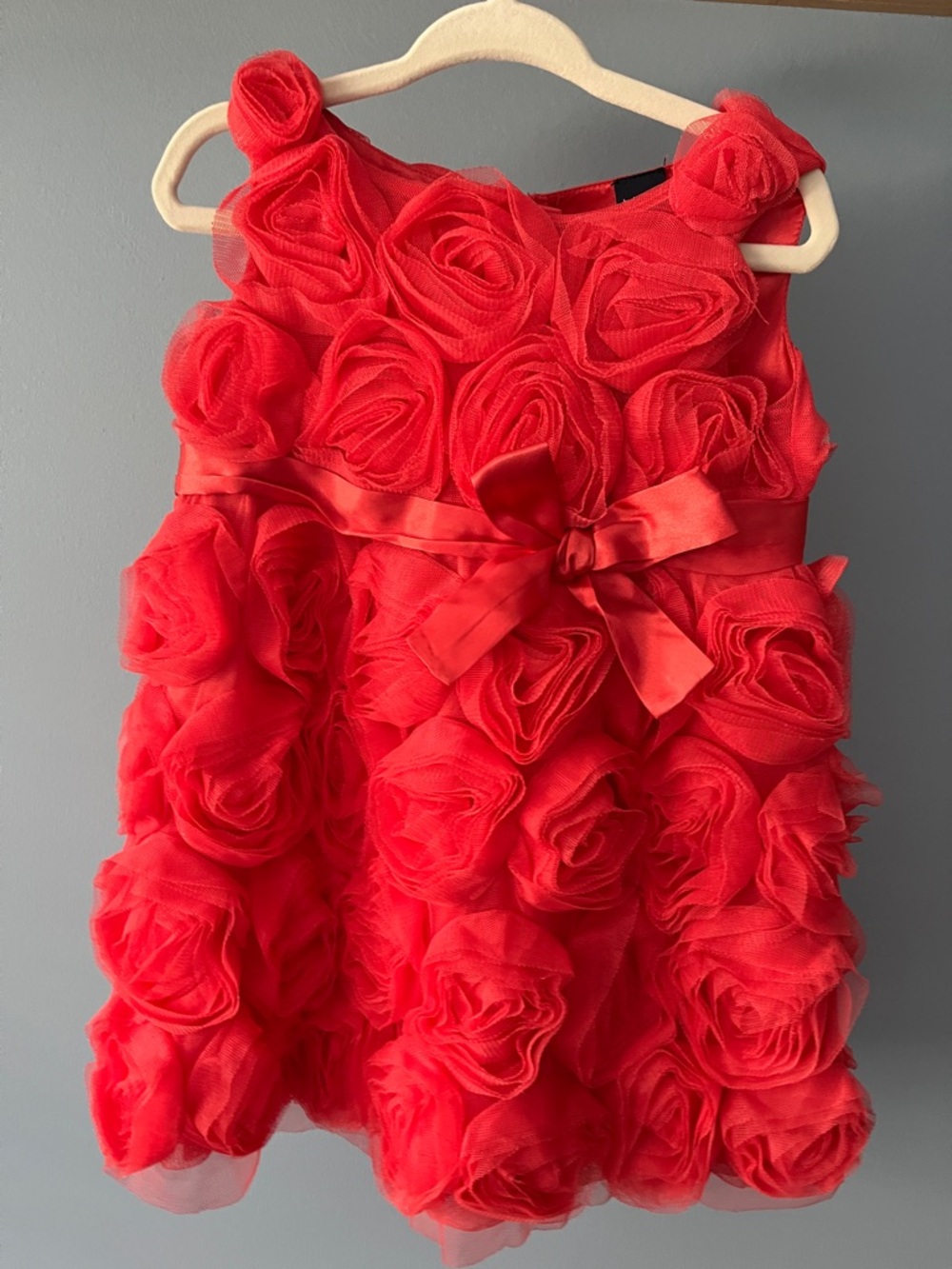GAP Red Rosette Bow Party Dress